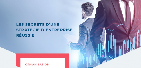 https://www.strategie-entreprise.net