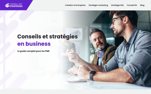 https://www.conseilsetstrategies.fr