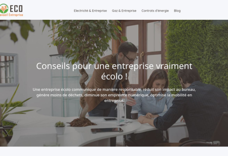 https://www.ecoconseil-entreprise.com